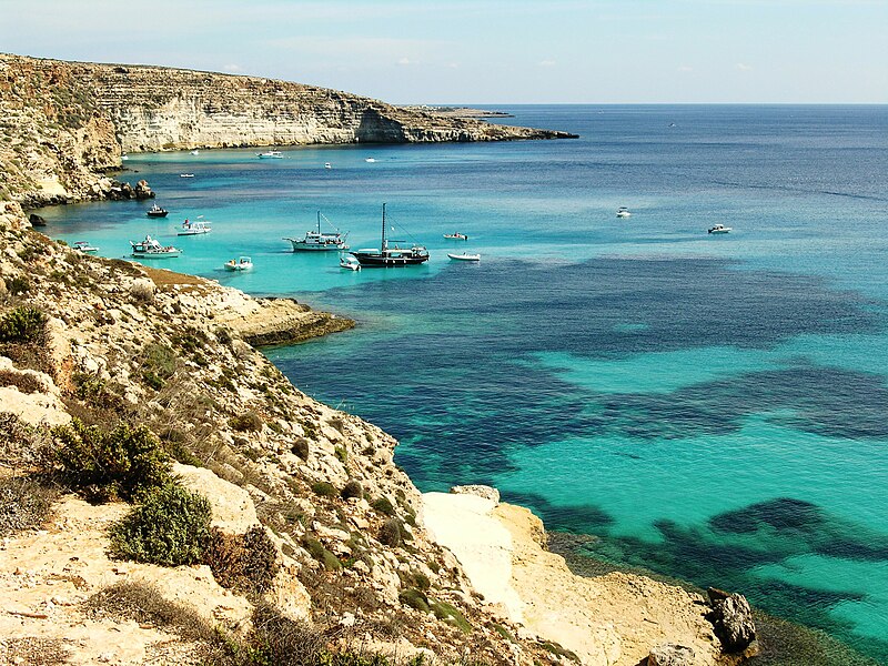 Lo strano fenomeno del marrobbio sull’isola di Lampedusa