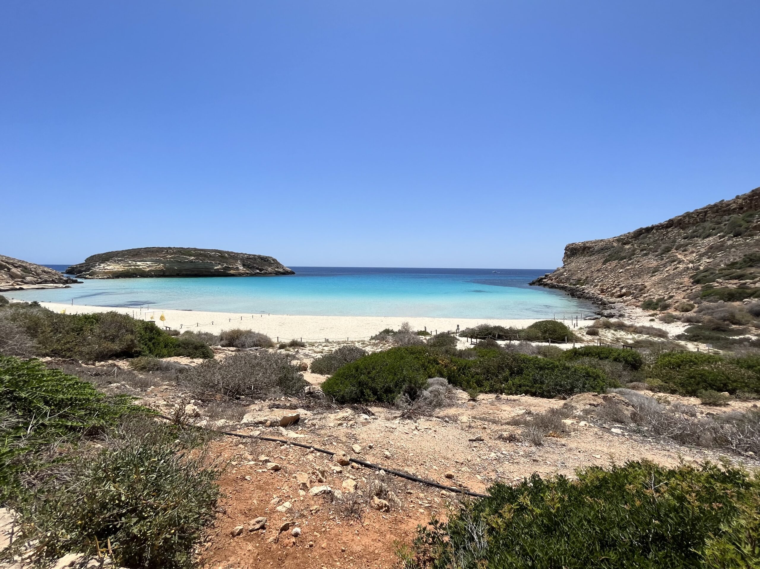 Lo strano fenomeno del marrobbio sull’isola di Lampedusa