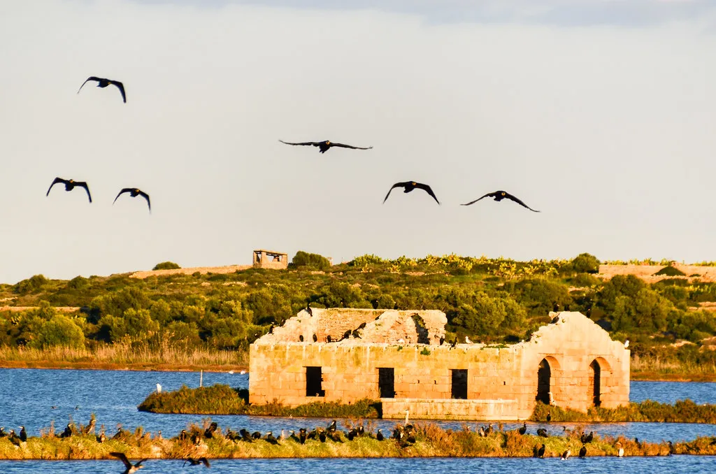 Ferragosto in Sicilia: eventi e folklore